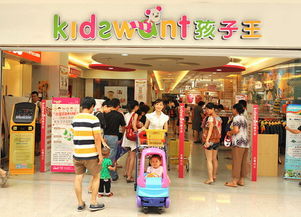 年销20亿元的母婴用品销售之道 战略、执行与创新